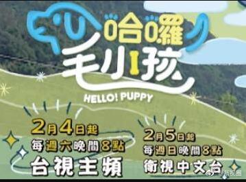 哈啰！毛小孩